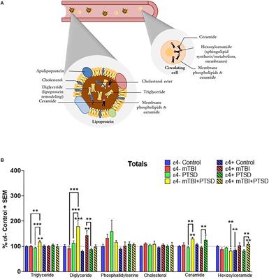 Plasma Lipidomic Analyses in Cohorts With mTBI and/or PTSD Reveal Lipids Differentially Associated With Diagnosis and APOE ε4 Carrier Status